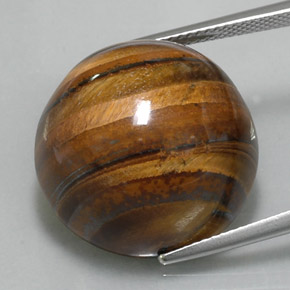 36.56克拉天然棕色Tiger's Eye，圆形切割，20.26毫米，不透明