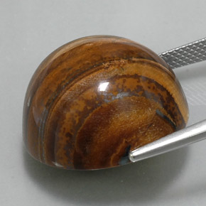 36.56克拉天然棕色Tiger's Eye，圆形切割，20.26毫米，不透明