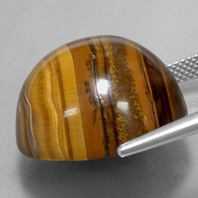 37.72克拉天然棕色Tiger's Eye，圆形切割，20.32毫米，不透明
