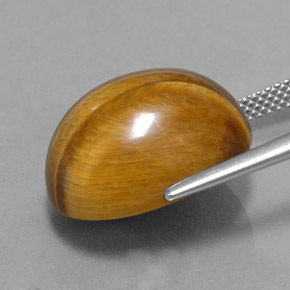 16.78克拉天然虎眼石，椭圆形切割，不透明