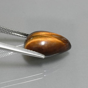 5.67克拉天然棕色Tiger's Eye，梨形，14.2×10.2毫米，不透明