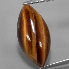 8.51克拉天然棕色Tiger's Eye，马眼形，20.3×9.8毫米，不透明