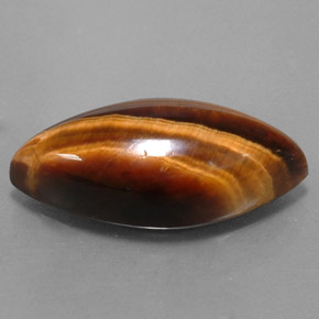 8.51克拉天然棕色Tiger's Eye，马眼形，20.3×9.8毫米，不透明