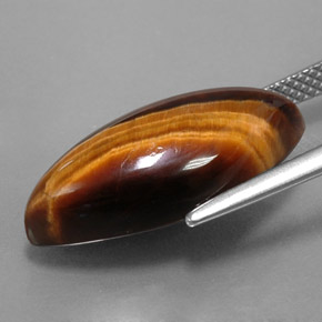 8.51克拉天然棕色Tiger's Eye，马眼形，20.3×9.8毫米，不透明
