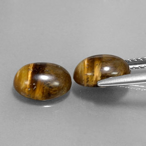 天然棕色Tiger's Eye，椭圆形切割，8.9×6.9毫米，不透明
