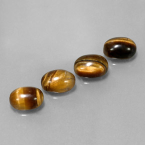 天然棕色Tiger's Eye，椭圆形切割，8×6毫米，不透明