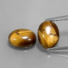 天然棕色Tiger's Eye，椭圆形切割，9×7.1毫米，不透明