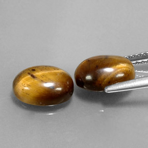 天然棕色Tiger's Eye，椭圆形切割，9×7.1毫米，不透明