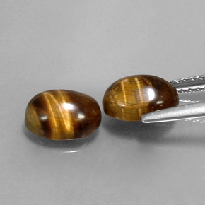 天然棕色Tiger's Eye，椭圆形切割，8.1×6.2毫米，不透明