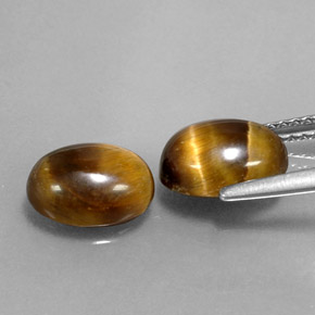 天然棕色Tiger's Eye，椭圆形切割，9×6.9毫米，不透明