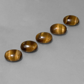 天然棕色Tiger's Eye，椭圆形切割，8.8×6.8毫米，不透明