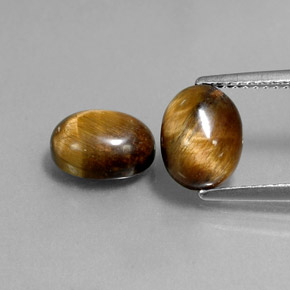 天然棕色Tiger's Eye，椭圆形切割，9×6.9毫米，不透明