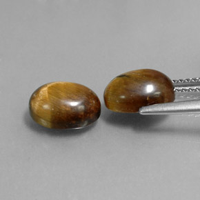 天然棕色Tiger's Eye，椭圆形切割，9×6.9毫米，不透明