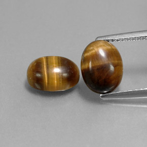 天然棕色Tiger's Eye，椭圆形切割，9×7毫米，不透明