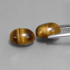 天然棕色Tiger's Eye，椭圆形切割，9×7毫米，不透明