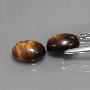 天然棕色Tiger's Eye，椭圆形切割，8.8×6.9毫米，不透明
