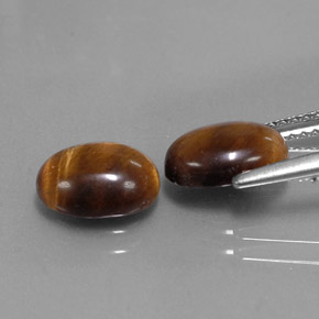 天然棕色Tiger's Eye，椭圆形切割，9×7毫米，不透明