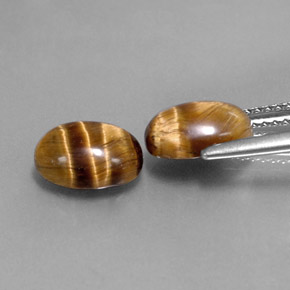 天然棕色Tiger's Eye，椭圆形切割，8.8×6.9毫米，不透明