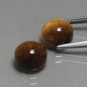 天然棕色Tiger's Eye，圆形切割，7.98毫米，不透明