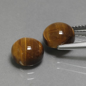 天然棕色Tiger's Eye，圆形切割，8.00毫米，不透明