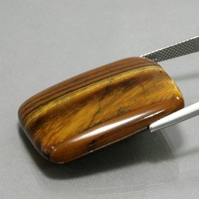 47.03克拉天然虎眼石，垫形剪裁，不透明