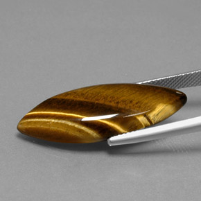 16.23克拉天然棕色Tiger's Eye，马眼形，31.4×11.8毫米，不透明