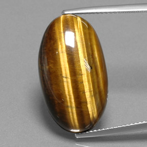 19.73克拉天然棕色Tiger's Eye，椭圆形切割，23.7×13.6毫米，不透明
