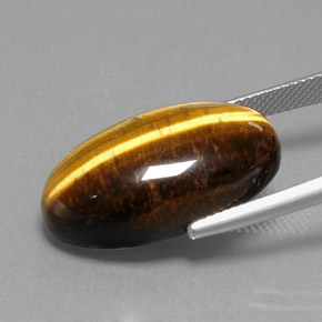 19.73克拉天然棕色Tiger's Eye，椭圆形切割，23.7×13.6毫米，不透明