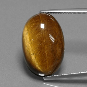 18.74克拉天然棕色Tiger's Eye，椭圆形切割，21.6×14.4毫米，不透明