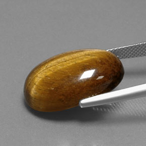 18.74克拉天然棕色Tiger's Eye，椭圆形切割，21.6×14.4毫米，不透明