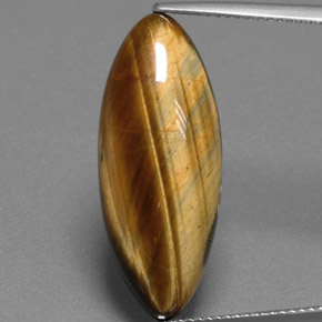 14.53克拉天然棕色Tiger's Eye，马眼形，27.3×11毫米，不透明