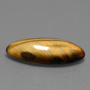 14.53克拉天然棕色Tiger's Eye，马眼形，27.3×11毫米，不透明
