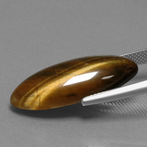 14.53克拉天然棕色Tiger's Eye，马眼形，27.3×11毫米，不透明