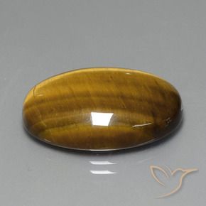 20.41克拉天然虎眼石，椭圆形，不透明