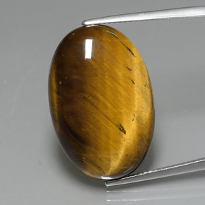 19.59克拉天然棕色Tiger's Eye，椭圆形切割，24.7×16.6毫米，不透明