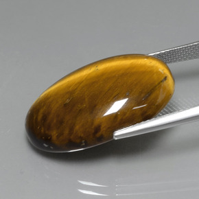 19.59克拉天然棕色Tiger's Eye，椭圆形切割，24.7×16.6毫米，不透明