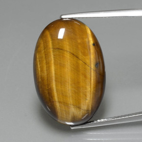 20.74克拉天然棕色Tiger's Eye，椭圆形切割，24.8×16.6毫米，不透明