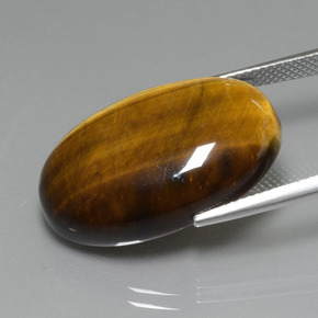 20.74克拉天然棕色Tiger's Eye，椭圆形切割，24.8×16.6毫米，不透明