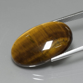 19.40克拉天然棕色Tiger's Eye，椭圆形切割，24.7×16.6毫米，不透明