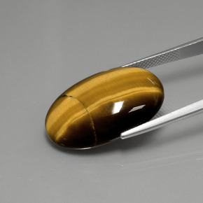 18.94克拉天然虎眼石，椭圆形切割，不透明