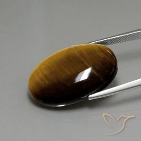 19.68克拉天然虎眼石，椭圆形，不透明