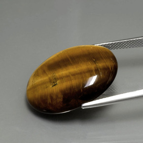 22.43克拉天然棕色Tiger's Eye，椭圆形切割，25.2×20.3毫米，不透明