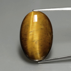 20.21克拉天然棕色Tiger's Eye，椭圆形切割，24.7×16.7毫米，不透明
