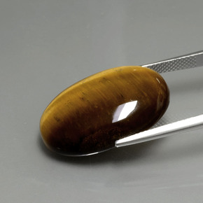 20.21克拉天然棕色Tiger's Eye，椭圆形切割，24.7×16.7毫米，不透明