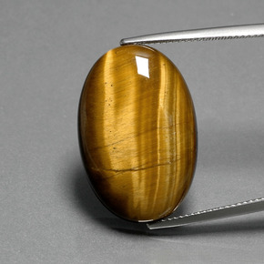19.87克拉天然棕色Tiger's Eye，椭圆形切割，24.7×16.6毫米，不透明