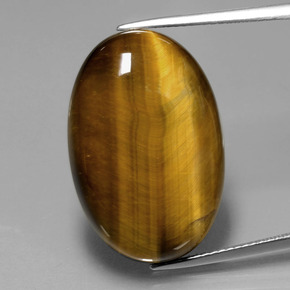 20.54克拉天然棕色Tiger's Eye，椭圆形切割，24.7×16.6毫米，不透明