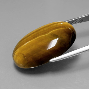 20.54克拉天然棕色Tiger's Eye，椭圆形切割，24.7×16.6毫米，不透明