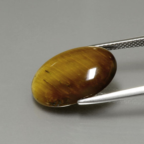 7.51克拉天然棕色Tiger's Eye，椭圆形切割，17.9×12.9毫米，不透明