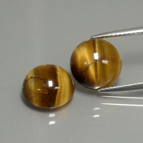 天然棕色Tiger's Eye，圆形切割，10.02毫米，不透明