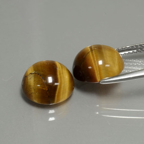 天然棕色Tiger's Eye，圆形切割，10.02毫米，不透明